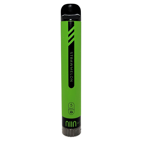 NIIN Air Disposables Review: Made With Tobacco-Free Nicotine