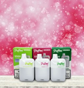 Puffmi MeshBox 5500 Disposables Review Banner