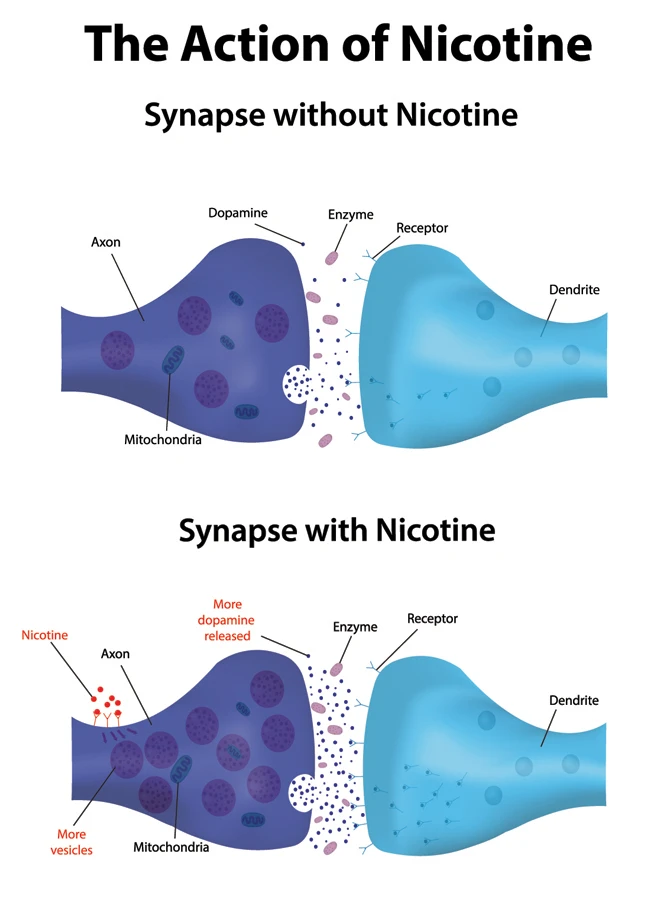 Does Nicotine Have Health Benefits - 1