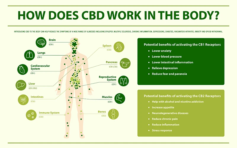 Is Vaping CBD Addictive - Benefits of CBD