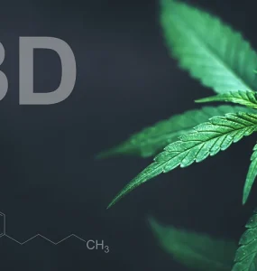 Is Vaping CBD Addictive Main Banner