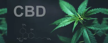 Is Vaping CBD Addictive Main Banner