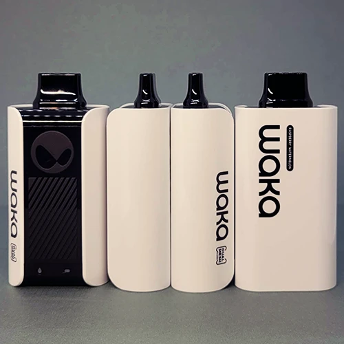 waka vape WAKA Sopro PA10000 Puffs Disposable Vape in Dubai main image 1