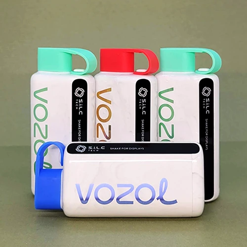 elfbar elfa master akku VOZOL VISTA 16000 Disposables Review