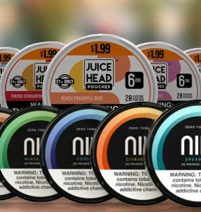 What are Nicotine Pouches