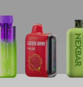 how much is elf bar vape What Are the Best Reusable & Non-Disposable Vapes to Buy After the Ban?