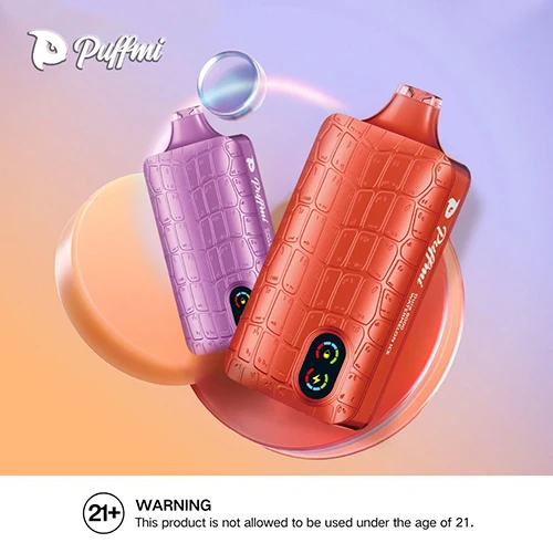 Puffmi Dura 8000 - 2