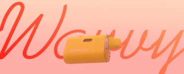 Artrix Wavvy Review Cover Image