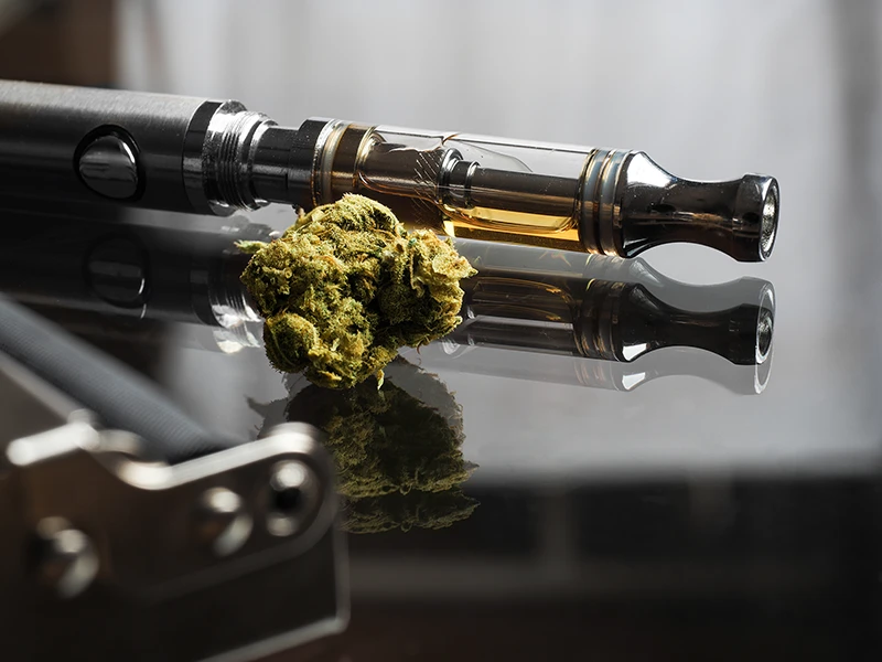 elfbar elfa master akku All-in-one vs Cart Weed Vapes: Which Is Right for You? – STIIIZY